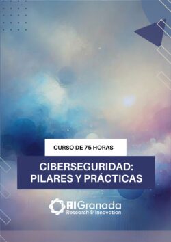 Ciberseguridad: pilares y prácticas